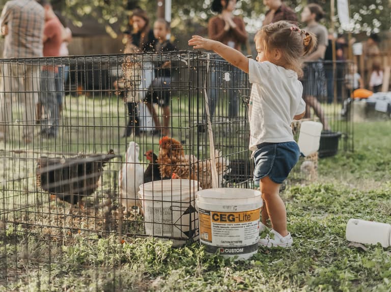 Harvest Fest ’24 — photograph 18 of 82