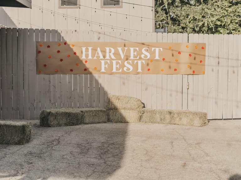 Harvest Fest ’24 — photograph 37 of 82