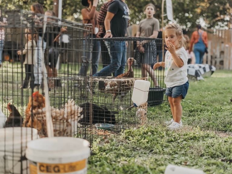 Harvest Fest ’24 — photograph 19 of 82