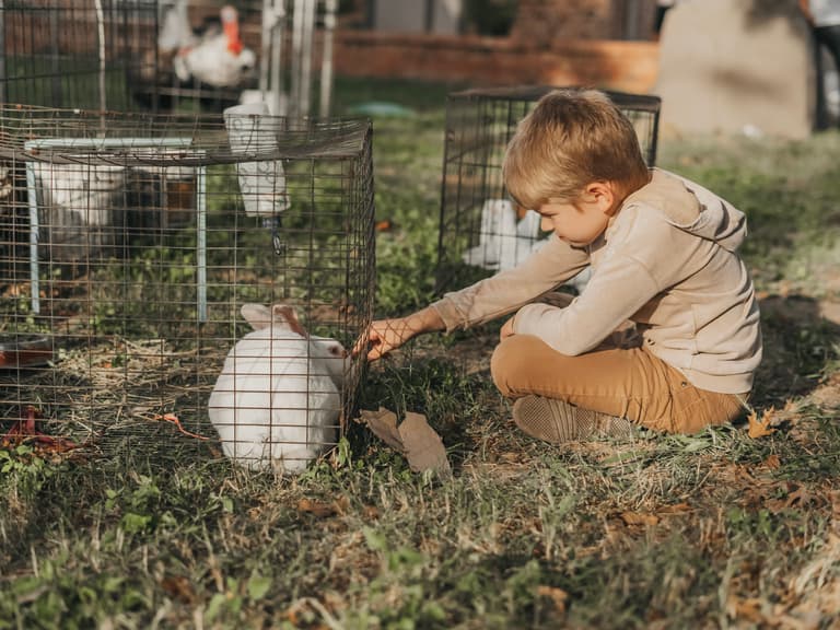 Harvest Fest ’24 — photograph 42 of 82