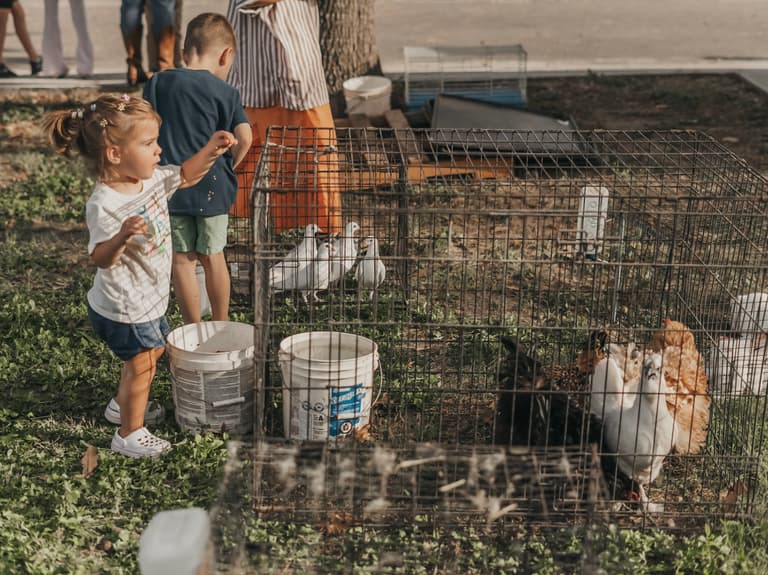 Harvest Fest ’24 — photograph 58 of 82
