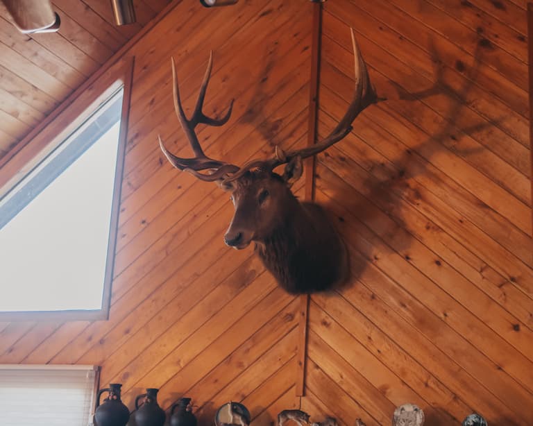 Cabin Trip ’24 — photograph 13 of 80