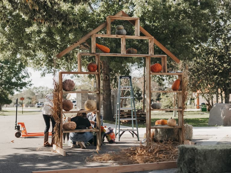 Harvest Fest ’24 — photograph 82 of 82