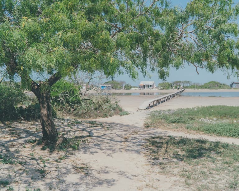 Mexico ’23 — photograph 26 of 221