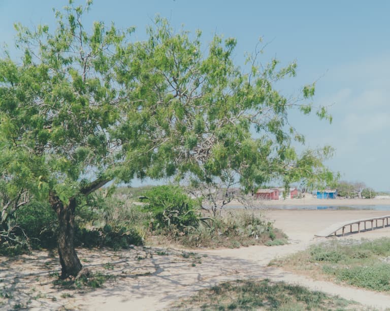 Mexico ’23 — photograph 35 of 221