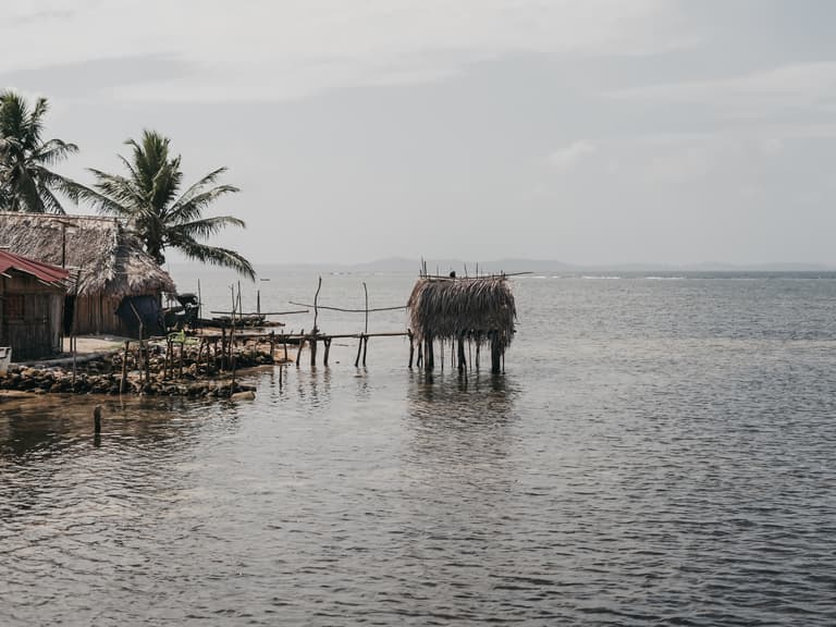Panama ’24 — photograph 6 of 117