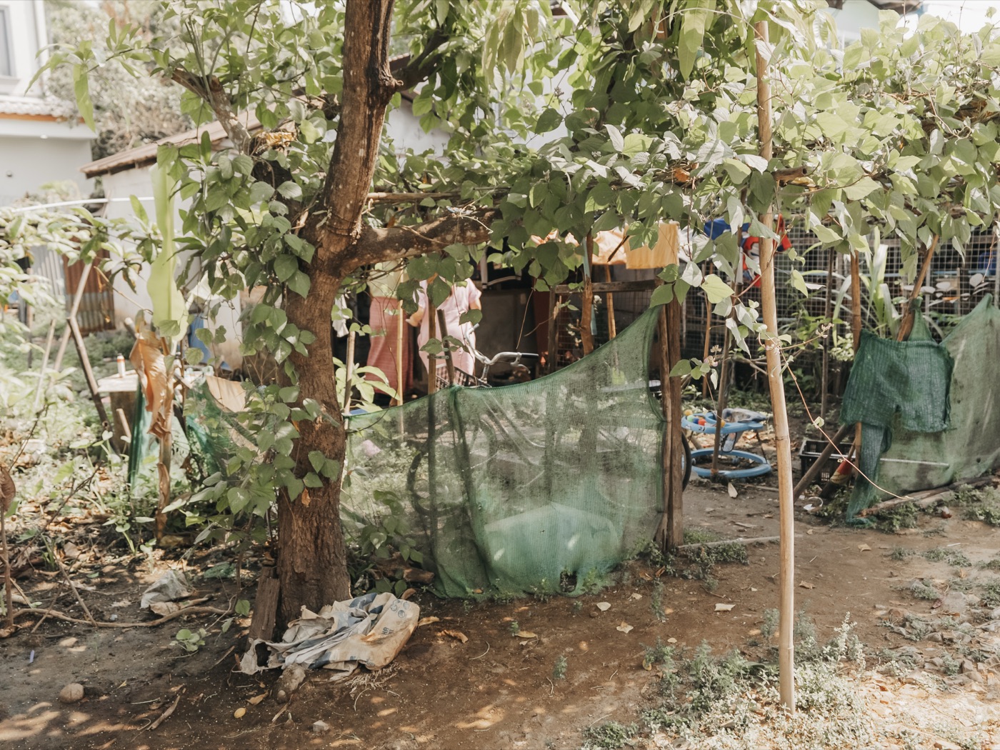 Myanmar ’25 — photograph 160 of 274