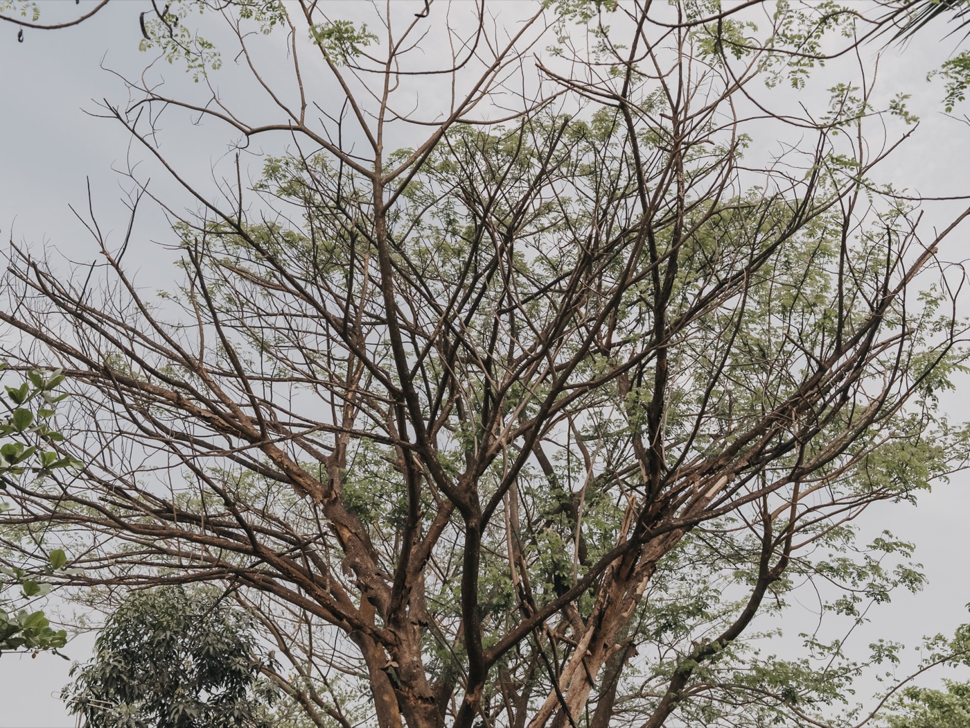 Myanmar ’25 — photograph 171 of 274