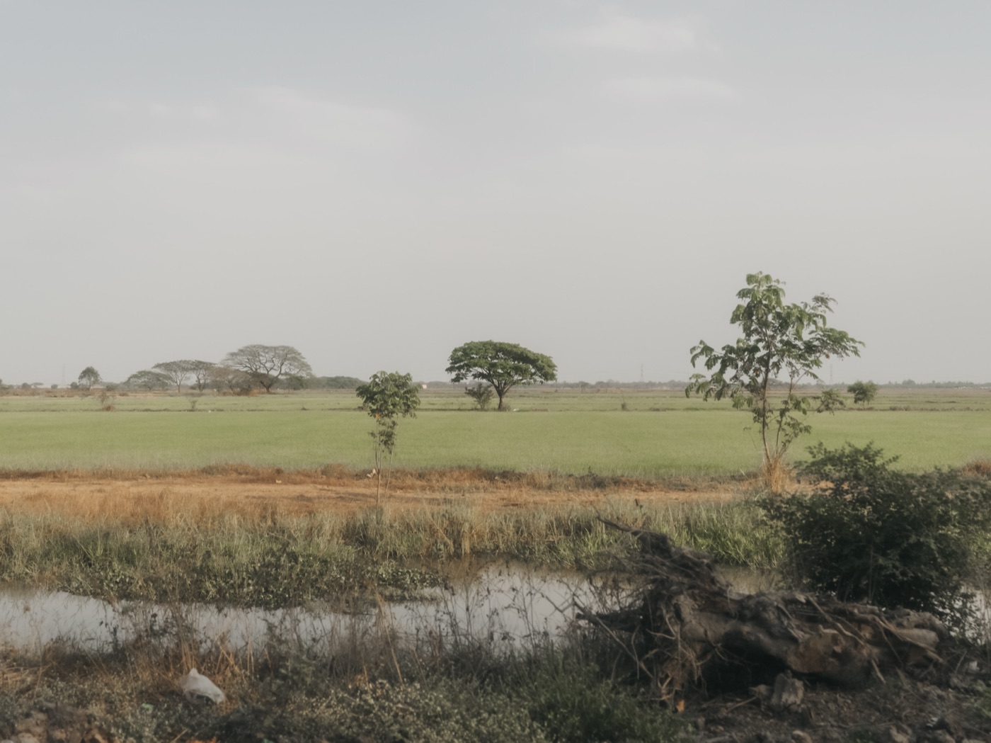 Myanmar ’25 — photograph 187 of 274