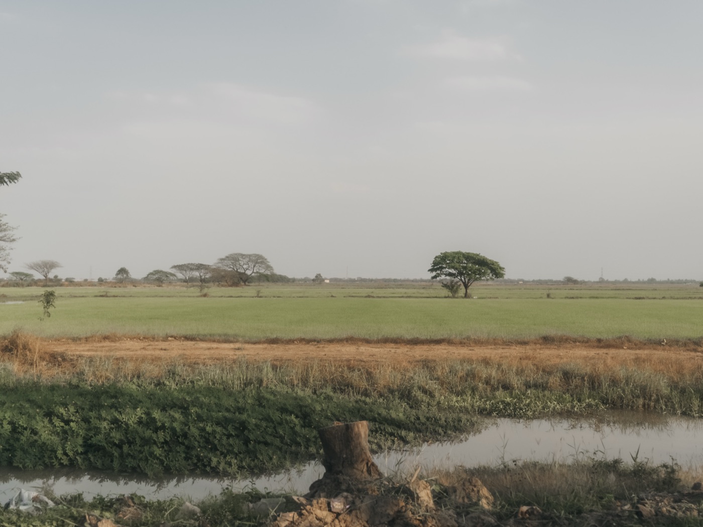 Myanmar ’25 — photograph 188 of 274