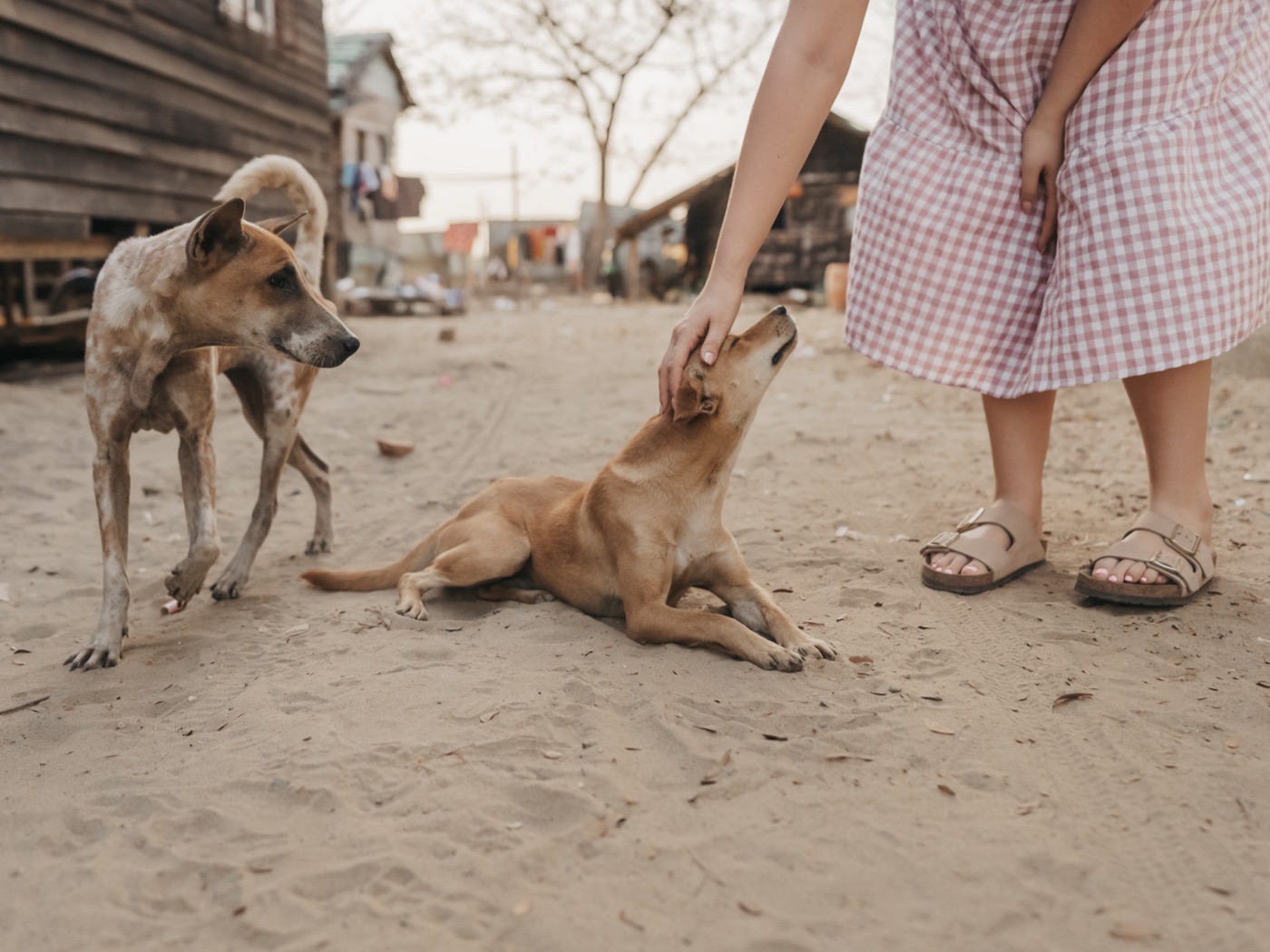 Myanmar ’25 — photograph 227 of 274